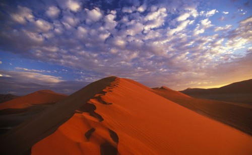 désert,sahara,grand erg oriental,antoine de saint-exupéry,théodore monod,sud,tunisie,méharée,caravane,nomade,bédouin,trek,trekking,routard,voyage forum,tente bédouine,chameau,chamelle,dume,dune,erg,reg,source,puits,sif es souane,sif essouane,timbain,huidhat erreched,elmida,dekenis elkebir,dekenis esseghir,oummi henda,aouinat rajah,douz,sabria,ghlissia,zaafrane,elfawar,ghidma,rejim maatoug,rose des sables,elbellaa,bir elghar,shot hejria,ben grira,mhemmed eslii,sid merzoug,bir azeit,bir romane,djebil park