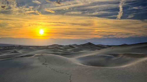 "une émotion mystique m'habite en mes pensées sur mon désert,mon thé à la menthe,mes souvenirs,ma vie si heureuse..."désert,sahara,grand erg oriental,antoine de saint-exupéry,théodore monod,sud,tunisie,méharée,caravane,nomade,bédouin,trek,trekking,routard,voyage forum,tente bédouine,chameau,chamelle,dume,dune,erg,reg,source,puits,sif es souane,sif essouane,timbain,huidhat erreched,elmida,dekenis elkebir,dekenis esseghir,oummi henda,aouinat rajah,douz,sabria,ghlissia,zaafrane,elfawar,ghidma,rejim maatoug,rose des sables,elbellaa,bir elghar,shot hejria,ben grira,mhemmed eslii,sidi merzoug