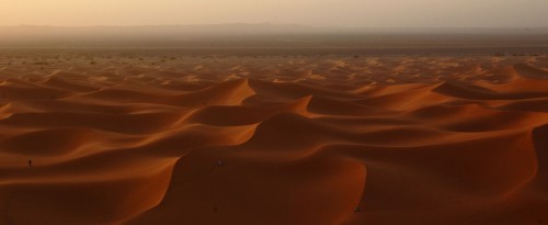 "une émotion mystique m'habite en mes pensées sur mon désert,mon thé à la menthe,mes souvenirs,ma vie si heureuse..."désert,sahara,grand erg oriental,antoine de saint-exupéry,théodore monod,sud,tunisie,méharée,caravane,nomade,bédouin,trek,trekking,routard,voyage forum,tente bédouine,chameau,chamelle,dume,dune,erg,reg,source,puits,sif es souane,sif essouane,timbain,huidhat erreched,elmida,dekenis elkebir,dekenis esseghir,oummi henda,aouinat rajah,douz,sabria,ghlissia,zaafrane,elfawar,ghidma,rejim maatoug,rose des sables,elbellaa,bir elghar,shot hejria,ben grira,mhemmed eslii,sidi merzoug