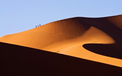 désert,sahara,grand erg oriental,antoine de saint-exupéry,théodore monod,sud,tunisie,méharée,caravane,nomade,bédouin,trek,trekking,routard,voyage forum,tente bédouine,chameau,chamelle,dume,dune,erg,reg,source,puits,sif es souane,sif essouane,timbain,huidhat erreched,elmida,dekenis elkebir,dekenis esseghir,oummi henda,aouinat rajah,douz,sabria,ghlissia,zaafrane,elfawar,ghidma,rejim maatoug,rose des sables,elbellaa,bir elghar,shot hejria,ben grira,mhemmed eslii,sid merzoug,bir azeit,bir romane,djebil park